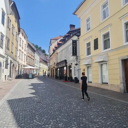 Lägenhet Vintage Charm Ljubljana