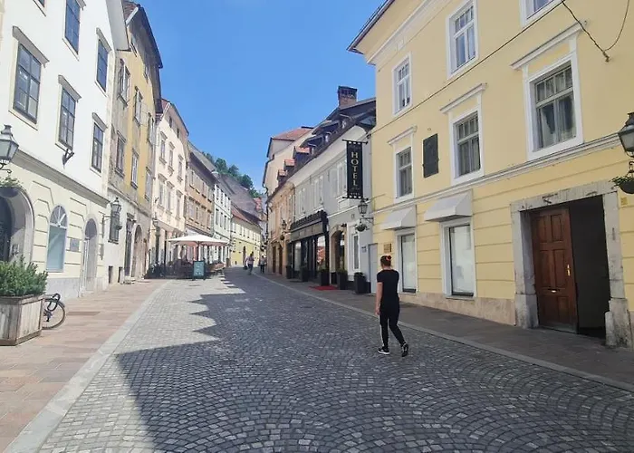 Appartamento Vintage Charm Lubiana